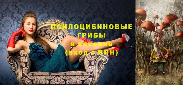 прущая мука Армянск
