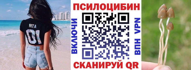 Псилоцибиновые грибы MAGIC MUSHROOMS  Новая Ладога 