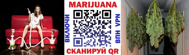 наркошоп  Новая Ладога  Марихуана сатива 